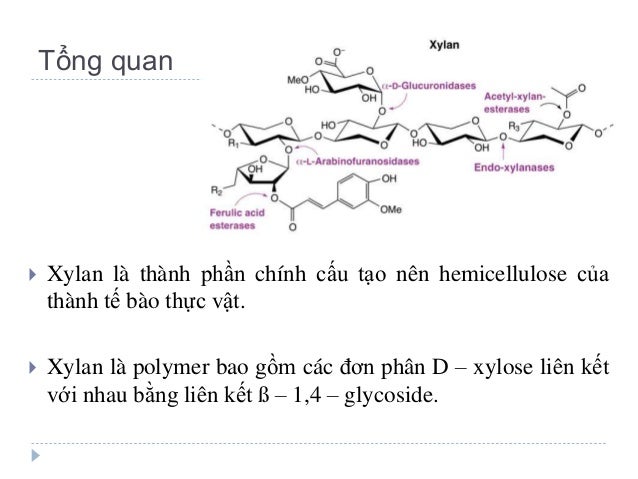 The Use Of Xylans And Xylanases Has