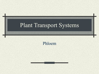 Plant Transport Systems Phloem 