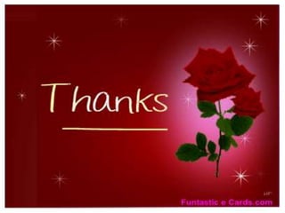 Xylemphloem by pooja