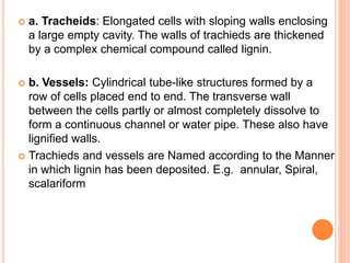  a. Tracheids: Elongated cells with sloping walls enclosing
a large empty cavity. The walls of trachieds are thickened
by a complex chemical compound called lignin.
 b. Vessels: Cylindrical tube-like structures formed by a
row of cells placed end to end. The transverse wall
between the cells partly or almost completely dissolve to
form a continuous channel or water pipe. These also have
lignified walls.
 Trachieds and vessels are Named according to the Manner
in which lignin has been deposited. E.g. annular, Spiral,
scalariform
 