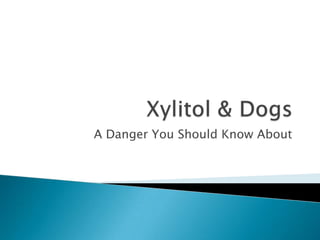Xylitol & Dogs A Danger You Should Know About 