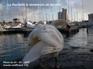 Photo du 01 – 03 – 2010 (marée coéfficient 115) La Rochelle le lendemain de Xynthia 