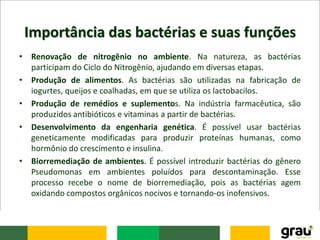 Importância das bactérias e suas funções
• Renovação de nitrogênio no ambiente. Na natureza, as bactérias
participam do Ciclo do Nitrogênio, ajudando em diversas etapas.
• Produção de alimentos. As bactérias são utilizadas na fabricação de
iogurtes, queijos e coalhadas, em que se utiliza os lactobacilos.
• Produção de remédios e suplementos. Na indústria farmacêutica, são
produzidos antibióticos e vitaminas a partir de bactérias.
• Desenvolvimento da engenharia genética. É possível usar bactérias
geneticamente modificadas para produzir proteínas humanas, como
hormônio do crescimento e insulina.
• Biorremediação de ambientes. É possível introduzir bactérias do gênero
Pseudomonas em ambientes poluídos para descontaminação. Esse
processo recebe o nome de biorremediação, pois as bactérias agem
oxidando compostos orgânicos nocivos e tornando-os inofensivos.
 