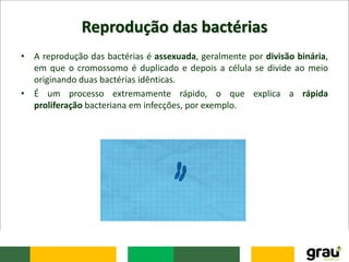 Reprodução das bactérias
• A reprodução das bactérias é assexuada, geralmente por divisão binária,
em que o cromossomo é duplicado e depois a célula se divide ao meio
originando duas bactérias idênticas.
• É um processo extremamente rápido, o que explica a rápida
proliferação bacteriana em infecções, por exemplo.
 