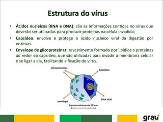 Estrutura do vírus
• Ácidos nucleicos (RNA e DNA): são as informações contidas no vírus que
deverão ser utilizadas para produzir proteínas na célula invadida;
• Capsídeo: envolve e protege o ácido nucleico viral da digestão por
enzimas.
• Envelope de glicoproteínas: revestimento formado por lipídios e proteínas
ao redor do capsídeo, que são utilizadas para invadir a membrana celular
e se ligar a ela, facilitando a fixação do vírus.
 