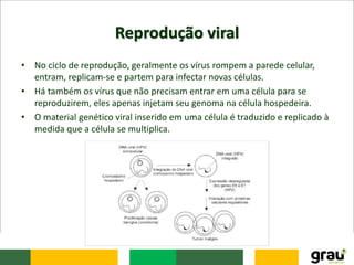 Reprodução viral
• No ciclo de reprodução, geralmente os vírus rompem a parede celular,
entram, replicam-se e partem para infectar novas células.
• Há também os vírus que não precisam entrar em uma célula para se
reproduzirem, eles apenas injetam seu genoma na célula hospedeira.
• O material genético viral inserido em uma célula é traduzido e replicado à
medida que a célula se multiplica.
 