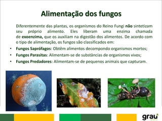 Alimentação dos fungos
Diferentemente das plantas, os organismos do Reino Fungi não sintetizam
seu próprio alimento. Eles liberam uma enzima chamada
de exoenzima, que os auxiliam na digestão dos alimentos. De acordo com
o tipo de alimentação, os fungos são classificados em:
• Fungos Saprófagos: Obtêm alimentos decompondo organismos mortos;
• Fungos Parasitas: Alimentam-se de substâncias de organismos vivos;
• Fungos Predadores: Alimentam-se de pequenos animais que capturam.
 