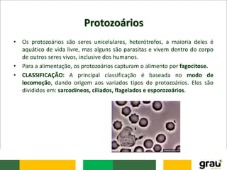 Protozoários
• Os protozoários são seres unicelulares, heterótrofos, a maioria deles é
aquático de vida livre, mas alguns são parasitas e vivem dentro do corpo
de outros seres vivos, inclusive dos humanos.
• Para a alimentação, os protozoários capturam o alimento por fagocitose.
• CLASSIFICAÇÃO: A principal classificação é baseada no modo de
locomoção, dando origem aos variados tipos de protozoários. Eles são
divididos em: sarcodíneos, ciliados, flagelados e esporozoários.
 