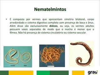 Nematelmintos
• É composto por vermes que apresentam simetria bilateral, corpo
arredondado e sistema digestivo completo com presença de boca e ânus.
Além disso são exclusivamente dióicos, ou seja, os vermes adultos
possuem sexos separados de modo que o macho é menor que a
fêmea. Não há presença de sistema circulatório ou sistema vascular.
 