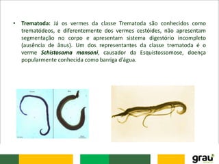 • Trematoda: Já os vermes da classe Trematoda são conhecidos como
trematódeos, e diferentemente dos vermes cestóides, não apresentam
segmentação no corpo e apresentam sistema digestório incompleto
(ausência de ânus). Um dos representantes da classe trematoda é o
verme Schistosoma mansoni, causador da Esquistossomose, doença
popularmente conhecida como barriga d’água.
 