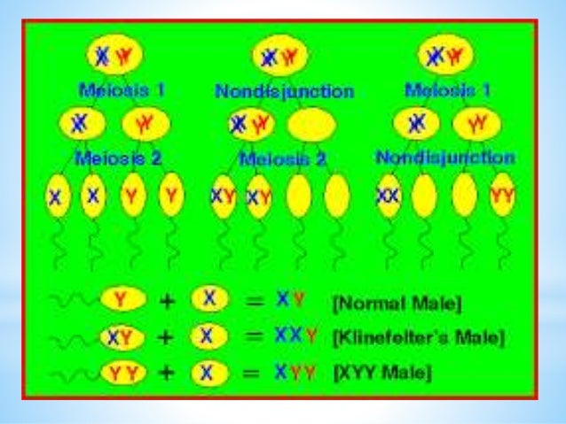 Xyy - a genetic disorder