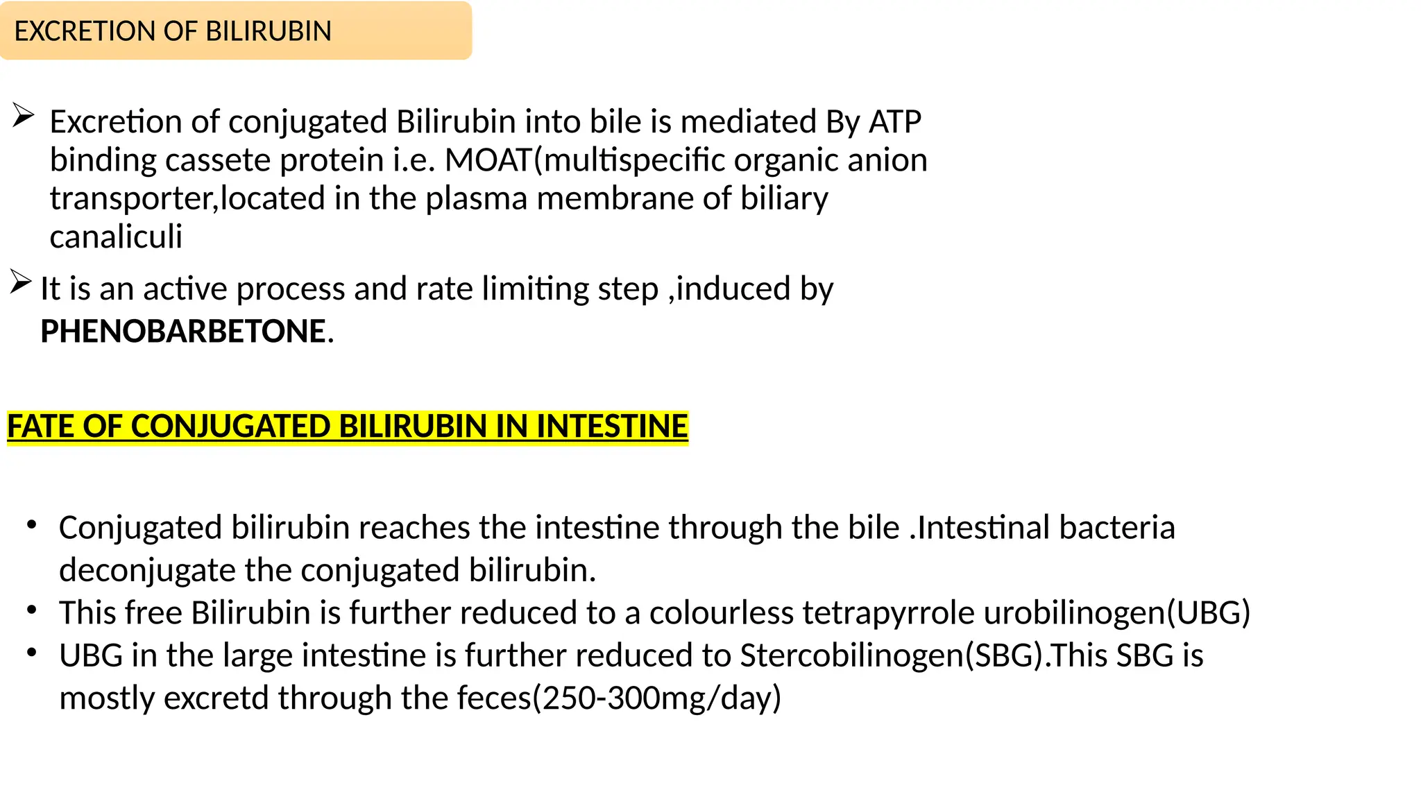 Heme metabolismmbbs1styearmetabolims.pptx