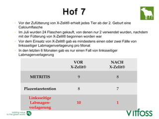 Hof 7
◦ Vor der Zufütterung von X-Zelit® erhielt jedes Tier ab der 2. Geburt eine
  Calciumflasche
◦ Im Juli wurden 24 Flaschen gekauft, von denen nur 2 verwendet wurden, nachdem
  mit der Fütterung von X-Zelit® begonnen worden war
◦ Vor dem Einsatz von X-Zelit® gab es mindestens einen oder zwei Fälle von
  linksseitiger Labmagenverlagerung pro Monat
◦ In den letzten 6 Monaten gab es nur einen Fall von linksseitiger
  Labmagenverlagerung

                                  VOR                    NACH
                                 X-Zelit®               X-Zelit®

         METRITIS                    9                      8

     Plazentaretention               8                      7

        Linksseitige
        Labmagen-                   10                      1
        verlagerung
 