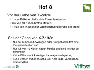 Hof 8
Vor der Gabe von X-Zelit®:
  1 von 10 Kühen hatte eine Plazentaretention
  3,5 von 10 Kühen hatten Metritis
  1 Fall von linksseitiger Labmagenverlagerung pro Monat



Seit der Gabe von X-Zelit®:
  Nur bei Kühen mit Zwillingen oder Frühgeburten trat eine
   Plazentaretention auf.
  Nur 1,6 von 10 Kühen haben Metritis und sind leichter zu
   behandeln
  Keine Fälle von linksseitiger Labmagenverlagerung
  Kühe werden früher brünstig, ca. 7-10 Tage, verbesserte
   Brunstzyklen
 