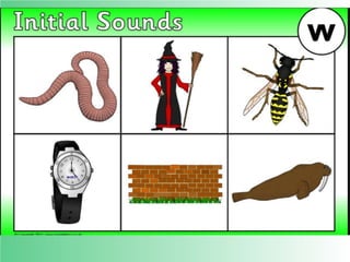 Flashcards and posters W w