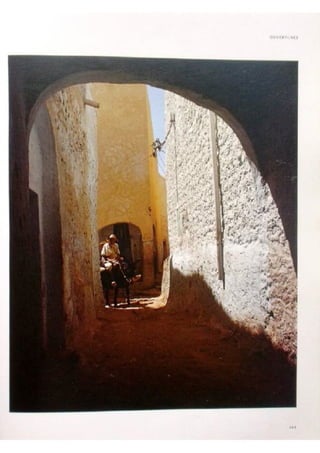 Le m'zab. une leçon d'architecture