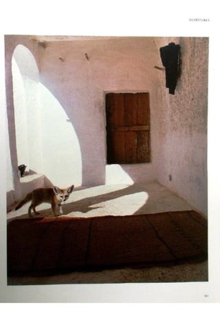 Le m'zab. une leçon d'architecture