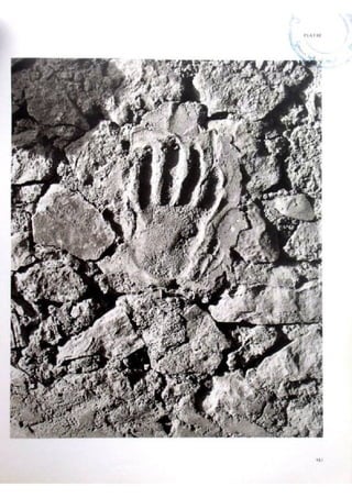 Le m'zab. une leçon d'architecture