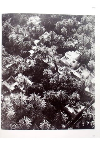 Le m'zab. une leçon d'architecture