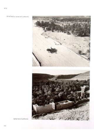 Le m'zab. une leçon d'architecture