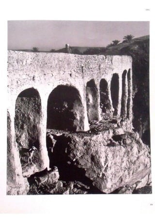 Le m'zab. une leçon d'architecture