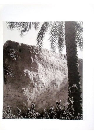 Le m'zab. une leçon d'architecture