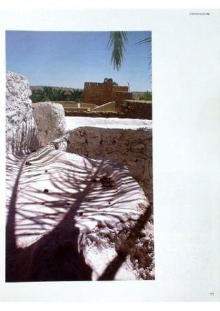 Le m'zab. une leçon d'architecture