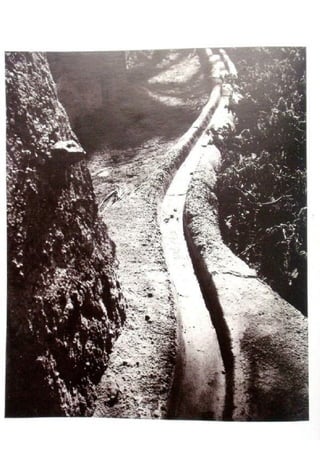 Le m'zab. une leçon d'architecture