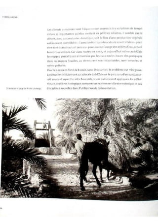 Le m'zab. une leçon d'architecture