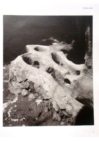 Le m'zab. une leçon d'architecture