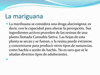 La mariguana
 La marihuana se considera una droga alucinógena; es
decir, con la capacidad para alterar la percepción. Sus
ingredientes activos proceden de las resinas de una
planta llamada Cannabis Sativa. Las hojas de esta
planta se secan y se fuman, y la resina puede extraerse
y concentrarse para producir otros tipos de sustancias,
como hachís o aceite de hachís. No es raro que se le
añadan diversos tipos de adulterantes.

 