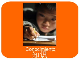 Conocimiento 知 识   [ + ] 