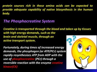 protein sources rich in these amino acids can be expected to
provide adequate capability of native biosynthesis in the human
body.
Creatine is transported through the blood and taken up by tissues
with high energy demands, such as the
brain and skeletal muscle, through an
active transport system.
Fortunately, during times of increased energy
demands, the phosphagen (or ATP/PCr) system
rapidly resynthesizes ATP from ADP with the
use of phosphocreatine (PCr) through a
reversible reaction with the enzyme creatine
kinase(CK)
 