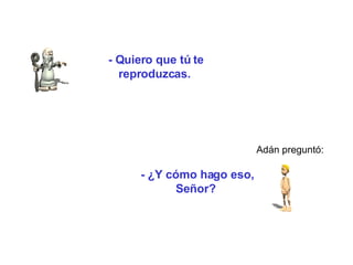 - Quiero que tú te reproduzcas.   Adán preguntó: -  ¿ Y cómo hago eso, Señor?   