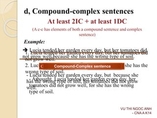 d, Compound-complex sentences
At least 2IC + at least 1DC
(A c-c has elements of both a compound sentence and complex
sent...