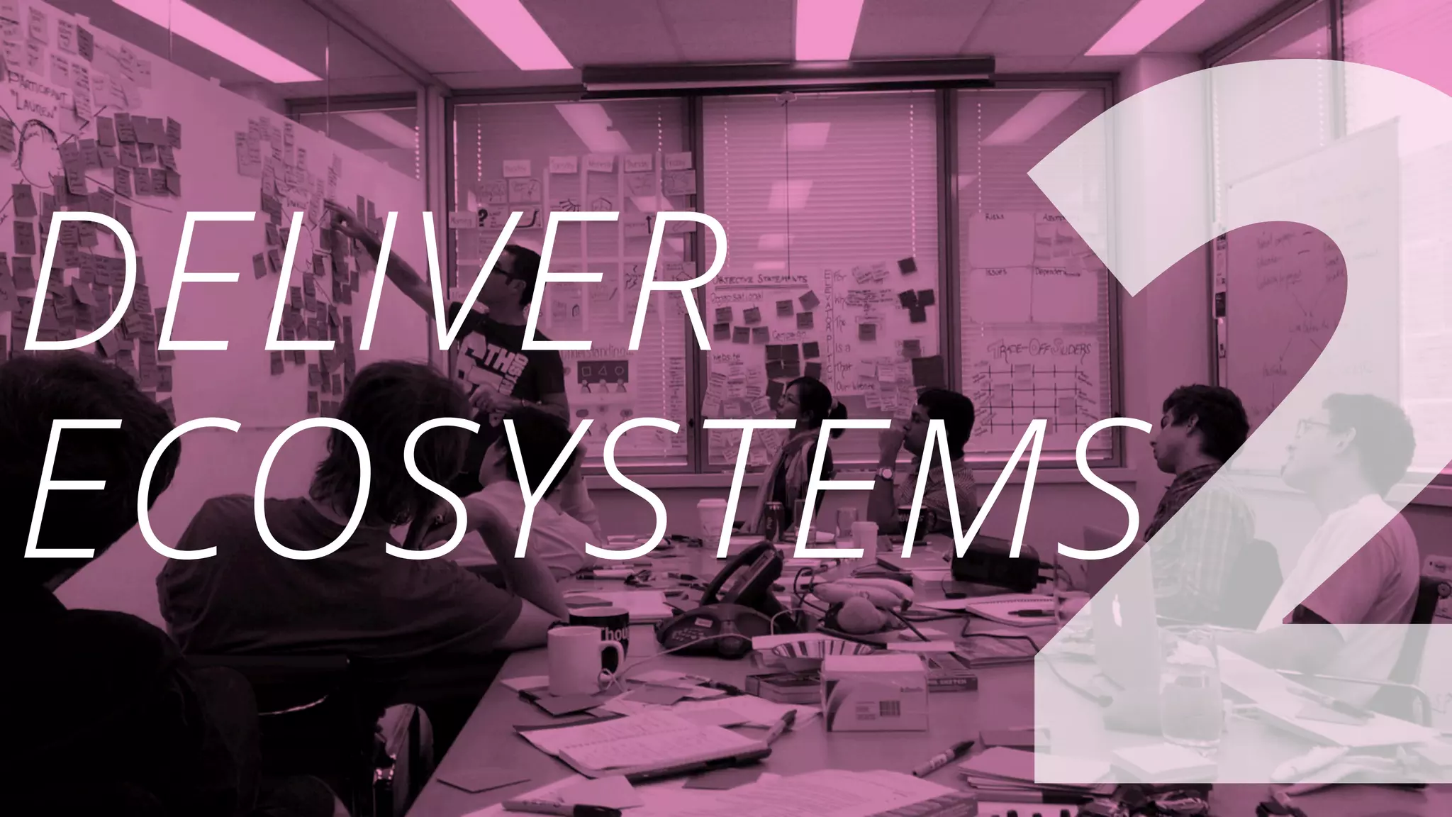 2DELIVER
ECOSYSTEMS
 