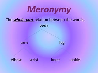 Meronymy
The whole-part relation between the words.
body
arm leg
elbow wrist knee ankle
 