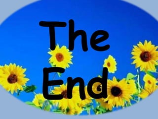 The
End
 