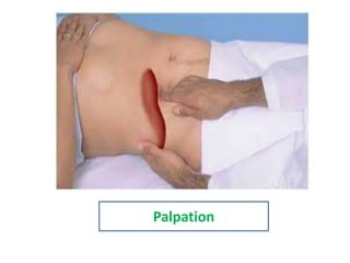 Palpation 
 