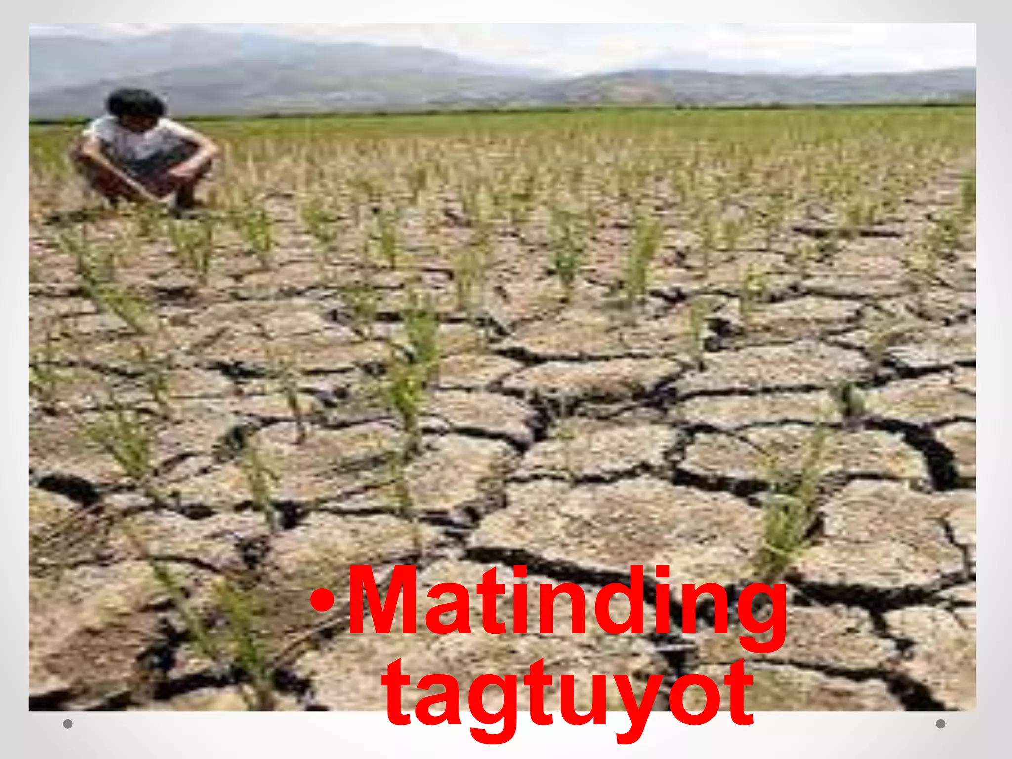 •Matinding
tagtuyot
 