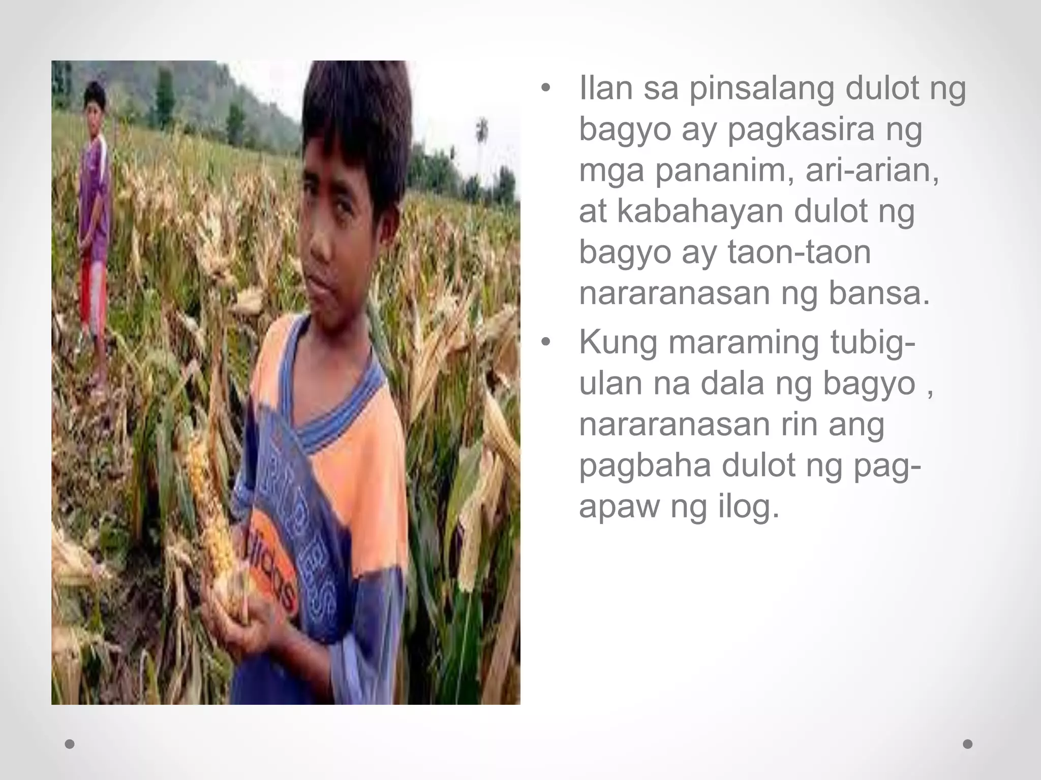 • Ilan sa pinsalang dulot ng
bagyo ay pagkasira ng
mga pananim, ari-arian,
at kabahayan dulot ng
bagyo ay taon-taon
nararanasan ng bansa.
• Kung maraming tubig-
ulan na dala ng bagyo ,
nararanasan rin ang
pagbaha dulot ng pag-
apaw ng ilog.
 