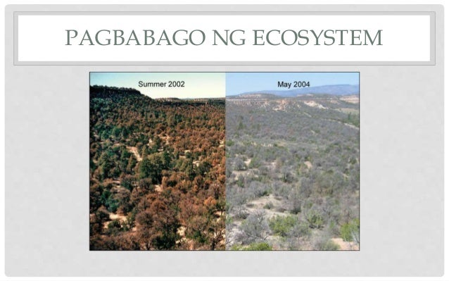 Epekto Ng Climate Change Sa Kalusugan Kapaligiran At Ekonomiya GRADE 10 ARALIN 2 ANG KAPALIGIRAN AT ANG CLIMATE CHANGE