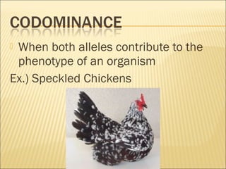  When both alleles contribute to the
phenotype of an organism
Ex.) Speckled Chickens
 