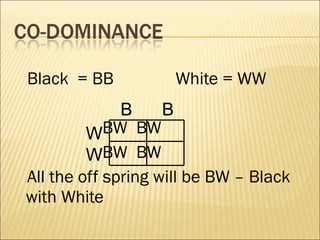 Black = BB White = WW
BW BW
BW BW
All the off spring will be BW – Black
with White
B B
W
W
 