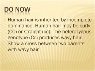  Human hair is inherited by incomplete
dominance. Human hair may be curly
(CC) or straight (cc). The heterozygous
genotype (Cc) produces wavy hair.
Show a cross between two parents
with wavy hair
 