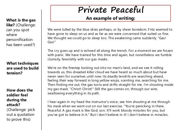 Private peaceful essay