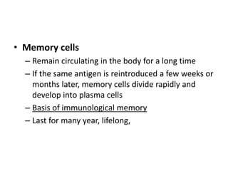 • Memory cells
– Remain circulating in the body for a long time
– If the same antigen is reintroduced a few weeks or
months later, memory cells divide rapidly and
develop into plasma cells
– Basis of immunological memory
– Last for many year, lifelong,
 