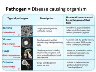 Pathogen = Disease causing organism
 