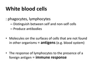 White blood cells
: phagocytes, lymphocytes
– Distinguish between self and non-self cells
– Produce antibodies
• Molecules on the surfaces of cells that are not found
in other organisms = antigens (e.g. blood system)
• The response of lymphocytes to the presence of a
foreign antigen = immune response
 