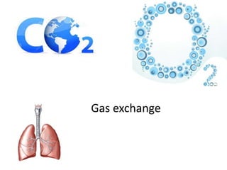 Gas exchange
 